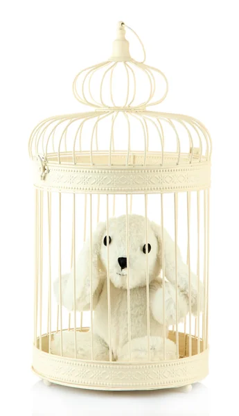Coelho de brinquedo em gaiola decorativa, isolado em branco — Fotografia de Stock