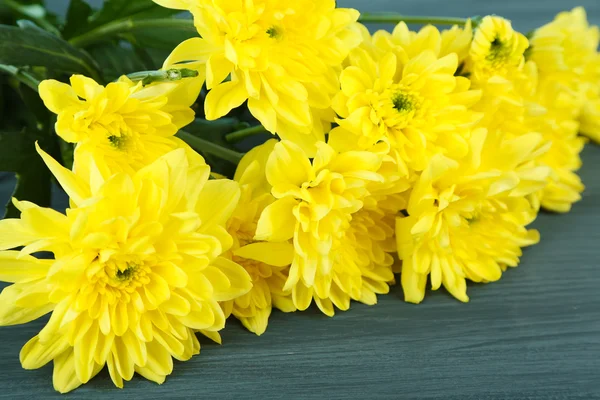 Beautiful flowers on color wooden background — Stock Photo, Image