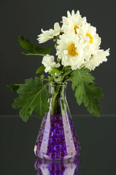 Lindas flores em vasos com hidrogel na mesa em fundo cinza — Fotografia de Stock