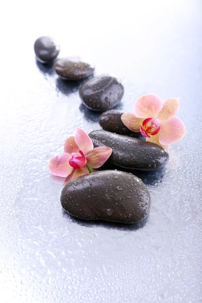 Composición con hermosa orquídea floreciente con gotas de agua y piedras de spa, sobre fondo claro —  Fotos de Stock