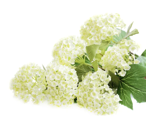 Strauß schöner Kunstblumen, isoliert auf weißem Grund — Stockfoto