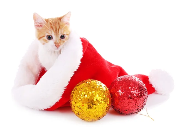 Kleines Kätzchen mit Weihnachtsmütze isoliert auf weiß — Stockfoto