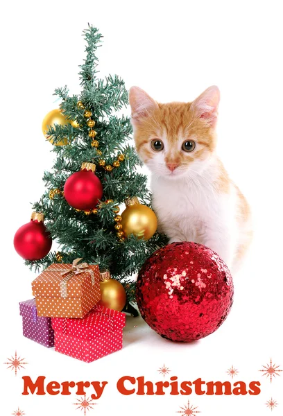 Pequeño gatito con adornos navideños aislados en blanco —  Fotos de Stock