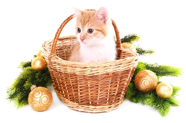 Pequeno gatinho com decorações de Natal isolado em branco — Fotografia de Stock