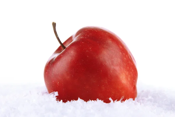 Roter Apfel im Schnee isoliert auf weißem — Stockfoto