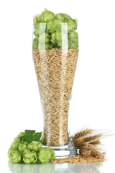 Bardak taze yeşil şerbetçiotu ve arpa, üzerinde beyaz izole — Stok fotoğraf