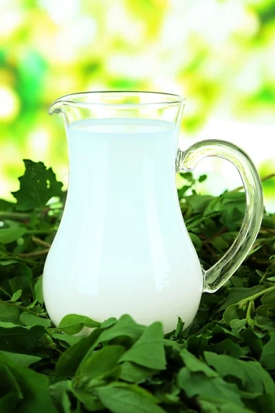 一大罐牛奶在自然背景下的草地上 — 图库照片