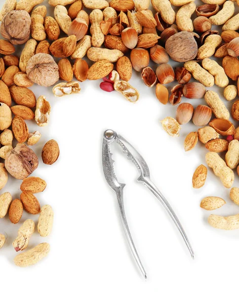 Cascanueces con frutos secos aislados en blanco — Foto de Stock