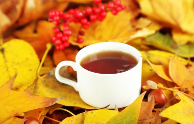 Sarı yaprak zemin üzerine sıcak içecek bir fincan