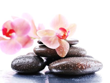 Su damlaları ve spa taşı, açık renkli güzel çiçek açan orkide ile kompozisyon