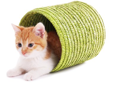 küçük kedi üzerinde beyaz izole hasır sepet