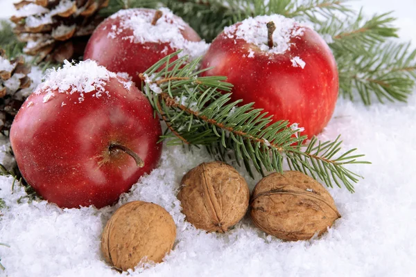 Manzanas rojas con ramas de abeto y nueces en nieve de cerca — Foto de Stock