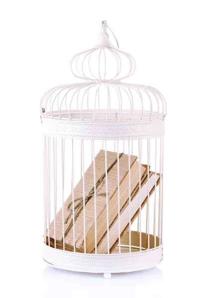 Books in decorative cage, isolated on white — Stock Photo, Image