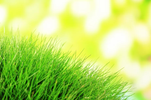 Beautiful green grass on nature background — Stock Photo, Image