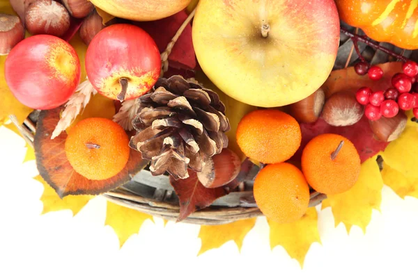 Schöne Herbstkomposition, isoliert auf Weiß — Stockfoto