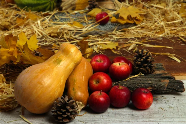 Pumpkins and apples with bark on wooden background — Stock Photo, Image