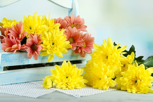 Vackra blommor i korg, på ljus bakgrund — Stockfoto