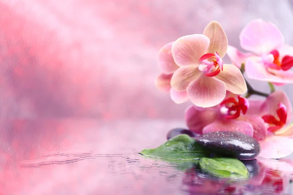 Composición con hermosa orquídea floreciente con gotas de agua y piedras de spa, sobre fondo de color claro — Foto de Stock