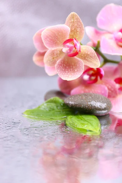 Состав с красивой цветущей орхидеей с капли воды и спа-камни, на светлом фоне цвета — стоковое фото