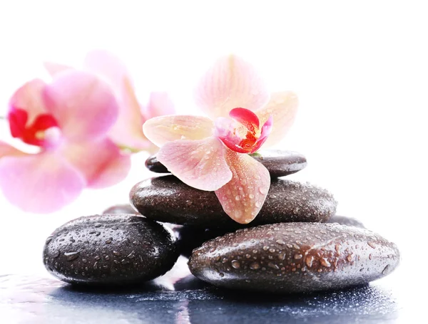 Composición con hermosa orquídea floreciente con gotas de agua y piedras de spa, sobre fondo claro — Foto de Stock