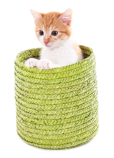 Little kitten in wicker basket isolated on white — Stock Photo, Image