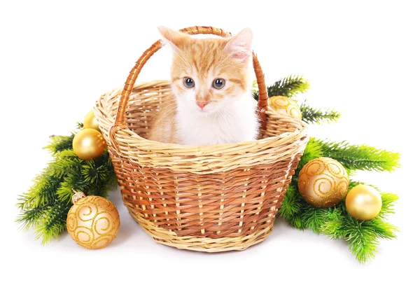 Pequeno gatinho com decorações de Natal isolado em branco — Fotografia de Stock