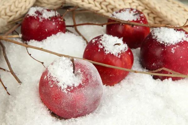 在雪中的红苹果关闭 — 图库照片