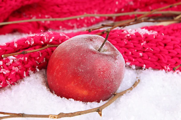 Maçã vermelha na neve perto — Fotografia de Stock