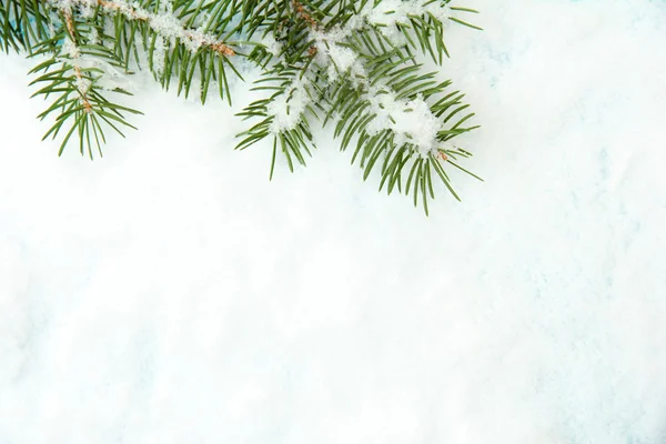 Winter background on snow, close up — Stock Photo, Image