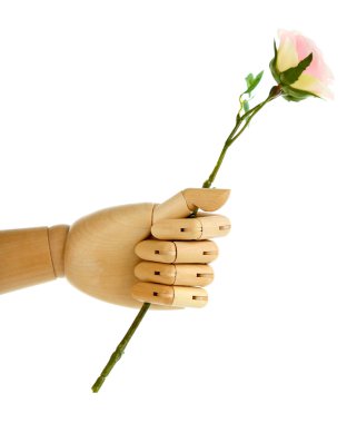 Rose in wooden hand isolated on white clipart