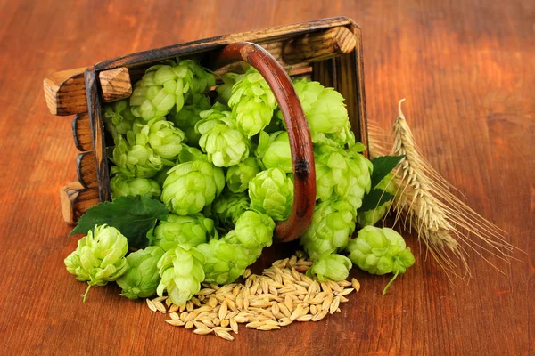 Fresh green hops in basket and barley, on wooden background — Stock Photo, Image