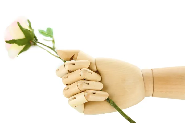 Rose in wooden hand isolated on white — Stock Photo, Image