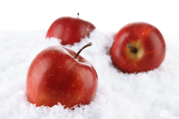 Red apples in snow isolated on white — Stock Photo, Image