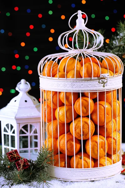 Mandarino in gabbia decorativa con decorazione natalizia, su sfondo lucido — Foto Stock