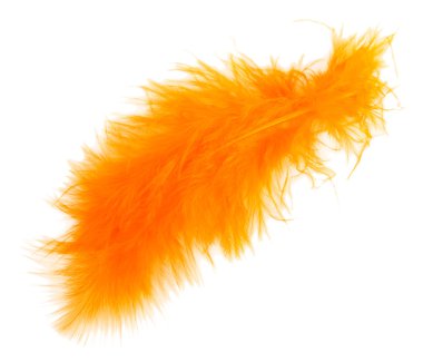 parlak tüylü beyaz izole