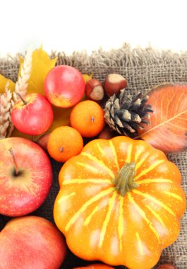 beyaz izole güzel sonbahar kompozisyon