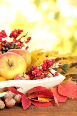 doğa arka plan üzerinde güzel sonbahar kompozisyon