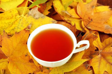 Sarı yaprak zemin üzerine sıcak içecek bir fincan