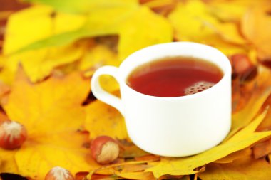 Sarı yaprak zemin üzerine sıcak içecek bir fincan