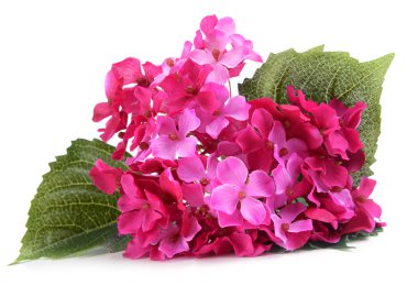 buket üzerinde beyaz izole güzel yapay çiçek