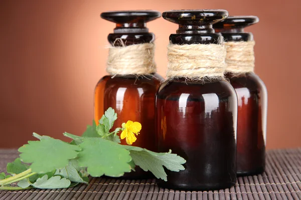 Blooming Celandine with medicine bottles on table on brown background — Stock Photo, Image