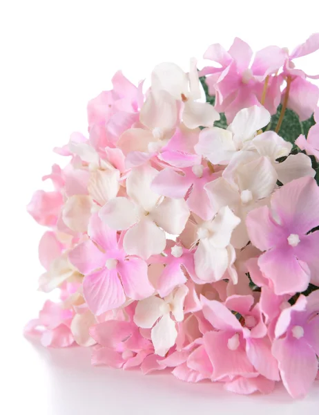 A gyönyörű művirág, elszigetelt fehér csokor — Stock Fotó