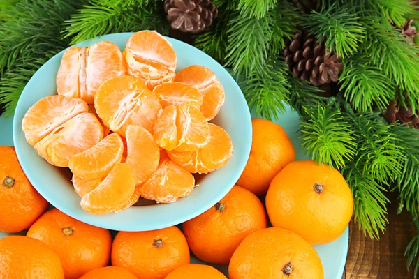 Reife Mandarinen in Schale mit Tannenzweig in Großaufnahme — Stockfoto