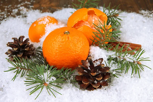 橘子与冷杉的枝上雪中关闭 — 图库照片