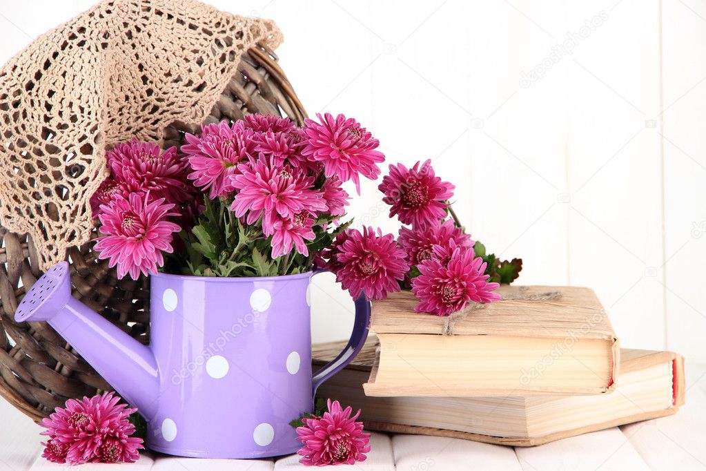 Bouquet of pink chrysanthemum in watering can on white wooden background