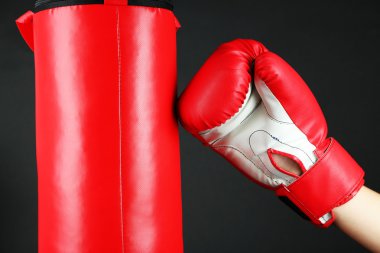 kutu eğitim ve çanta, siyah üzerine izole Delme