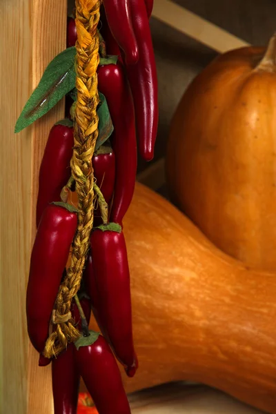 Chili peppers and pumpkin close up — Stock Photo, Image