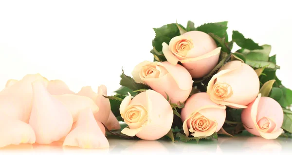 Piękny bukiet róż, na białym tle — Zdjęcie stockowe