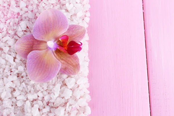 Красивый цветущий цветок орхидеи и куча морской соли, на цветном деревянном фоне — стоковое фото