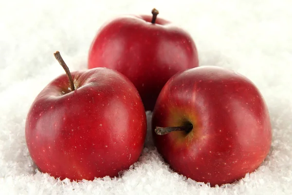 Red apples in snow close up — Stock Photo, Image
